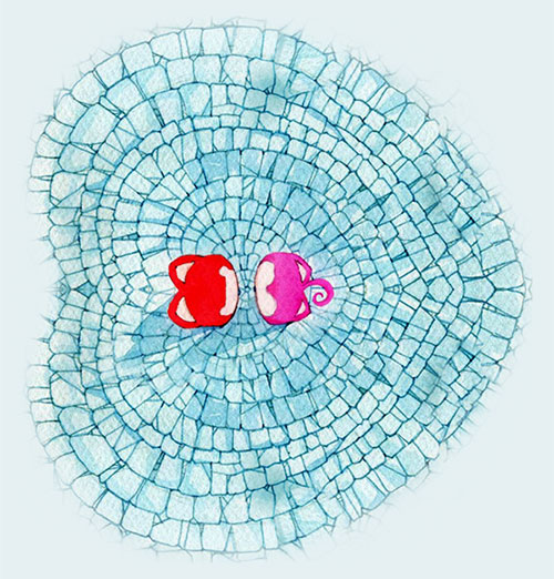 直到有一天Akkz与Abei相遇了